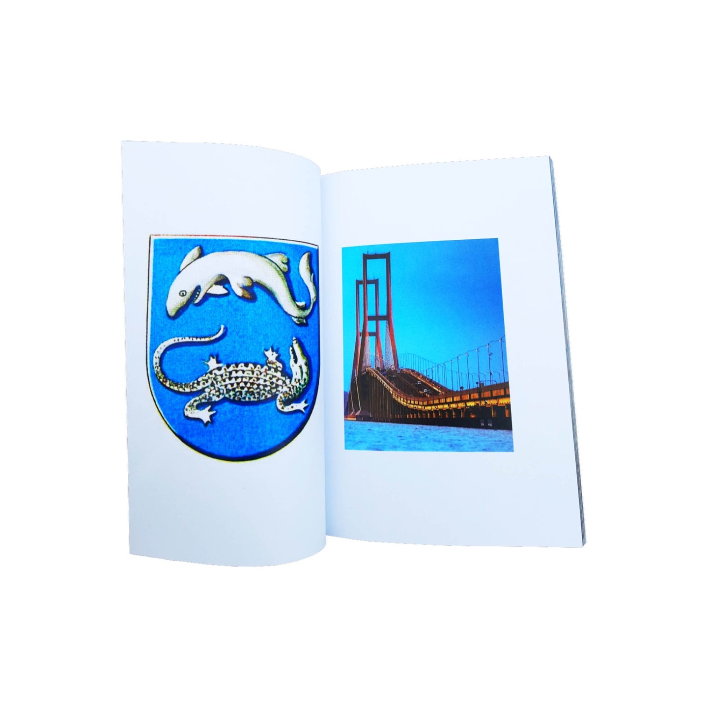 Webwebweb Zine - The Cube